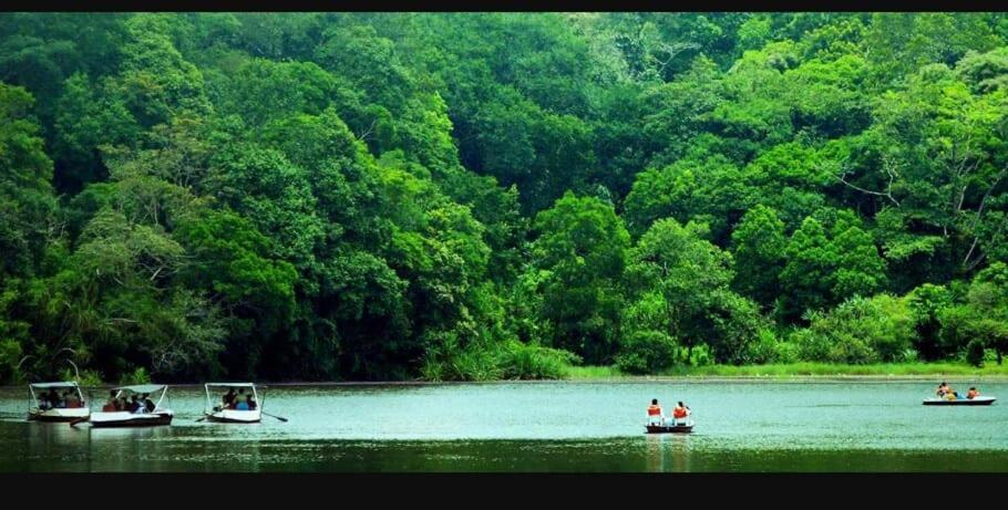 Villa Wayanad Snow Vibes Vythiri Exterior foto